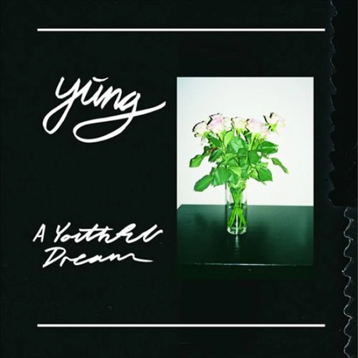 Yung YOUTHFUL DREAM Vinyl Record