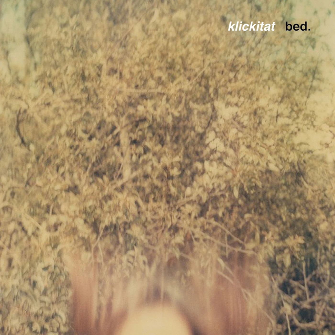 bed. klickitat Vinyl Record