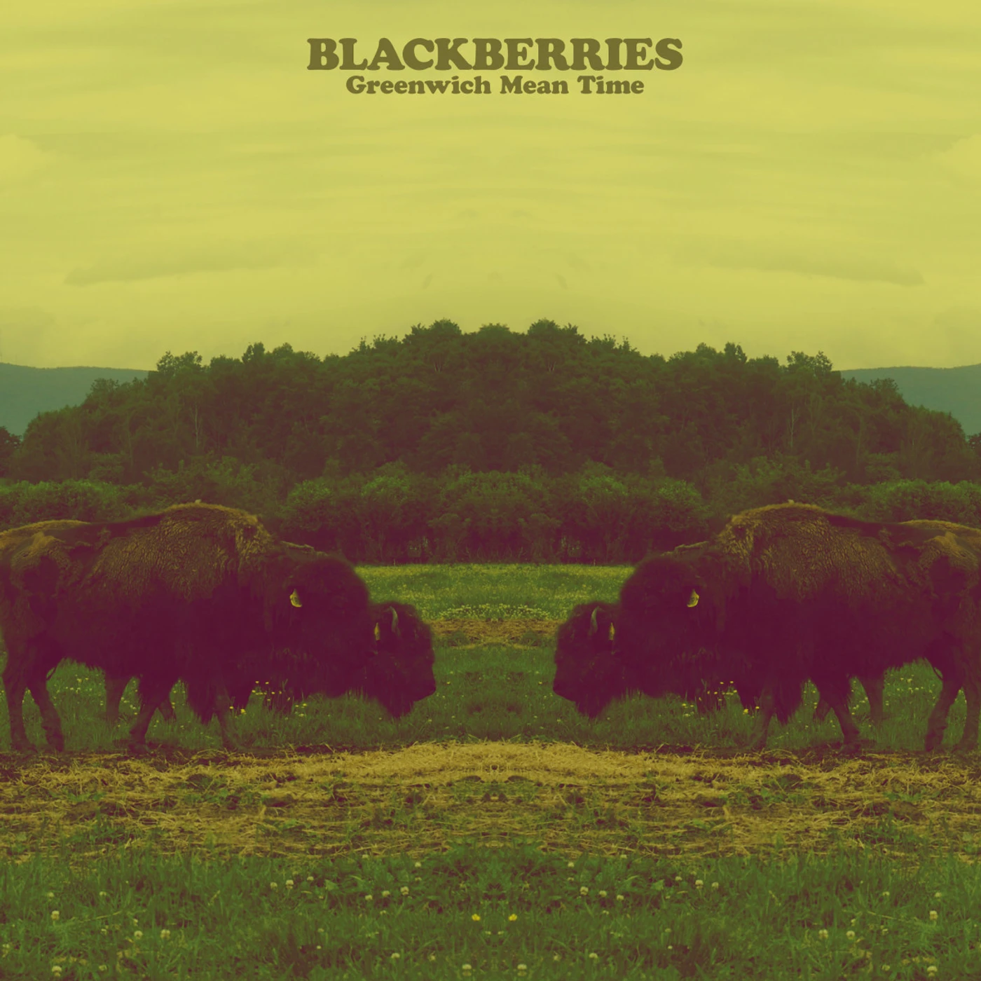 Blackberries Greenwich Mean Time Vinyl Record