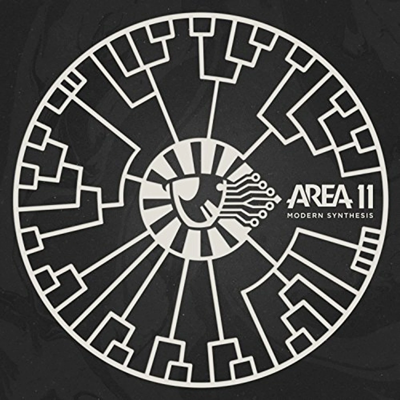 Area 11 Modern Synthesis Vinyl Record