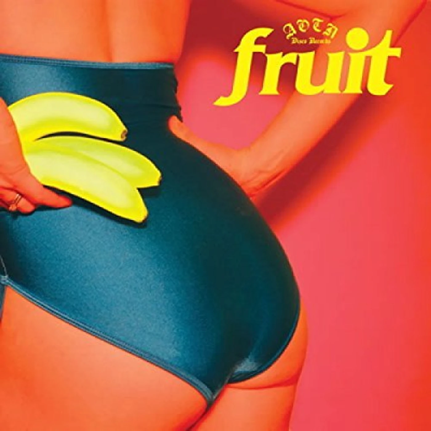 FRUIT Vinyl Record