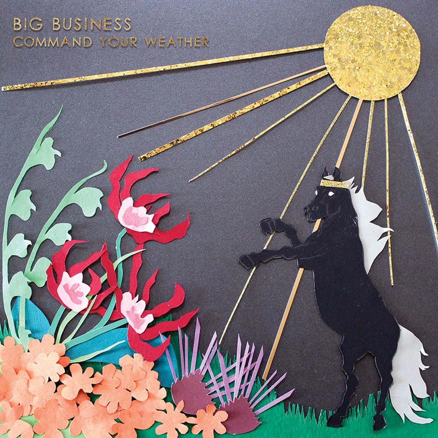 Big Business COMMAND YOUR WEATHER CD