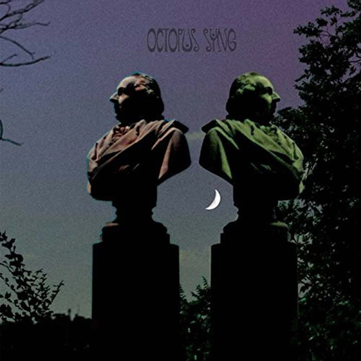 Octopus Syng HOLLOW GHOST / ROCHELLE SALT CD