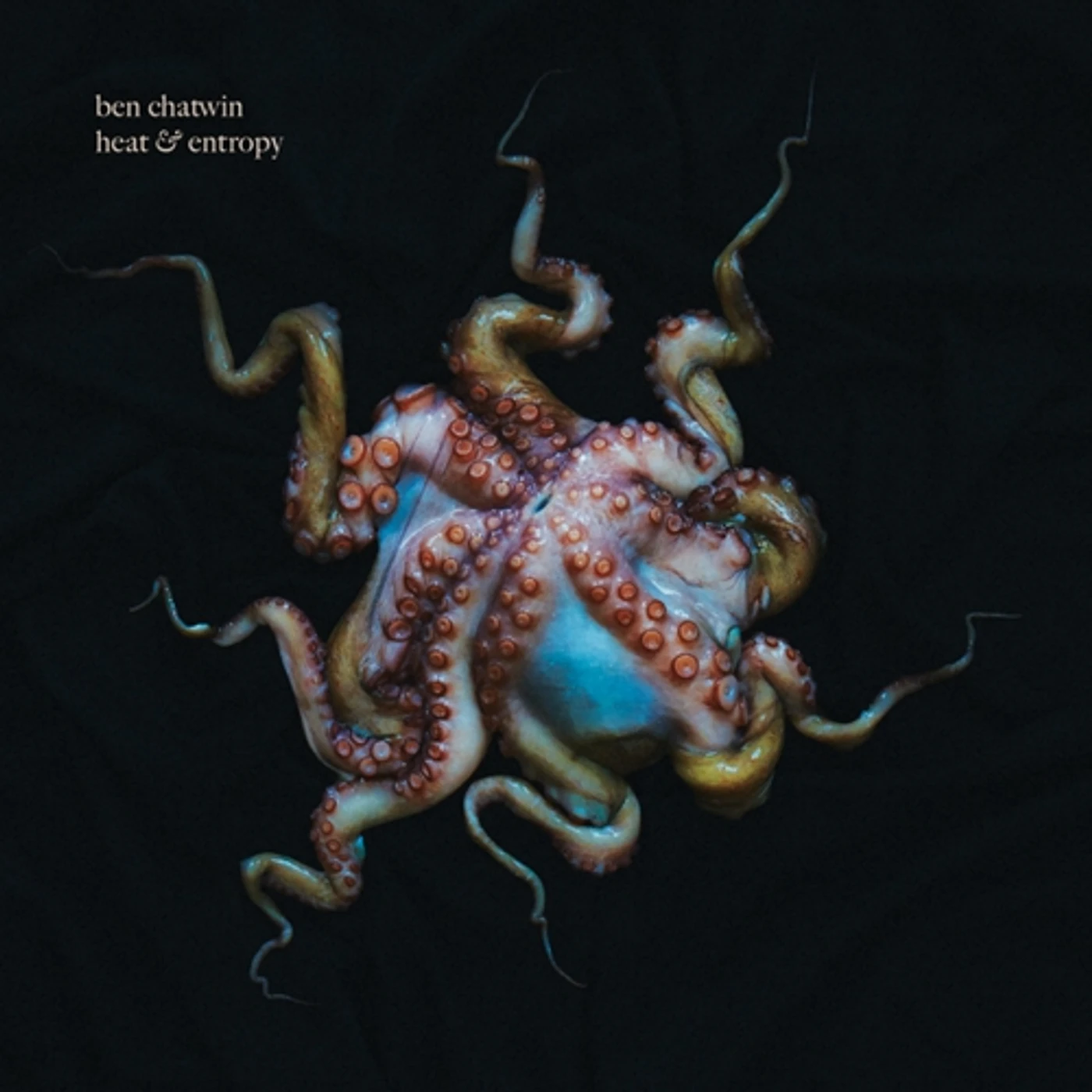Ben Chatwin Heat & Entropy Vinyl Record