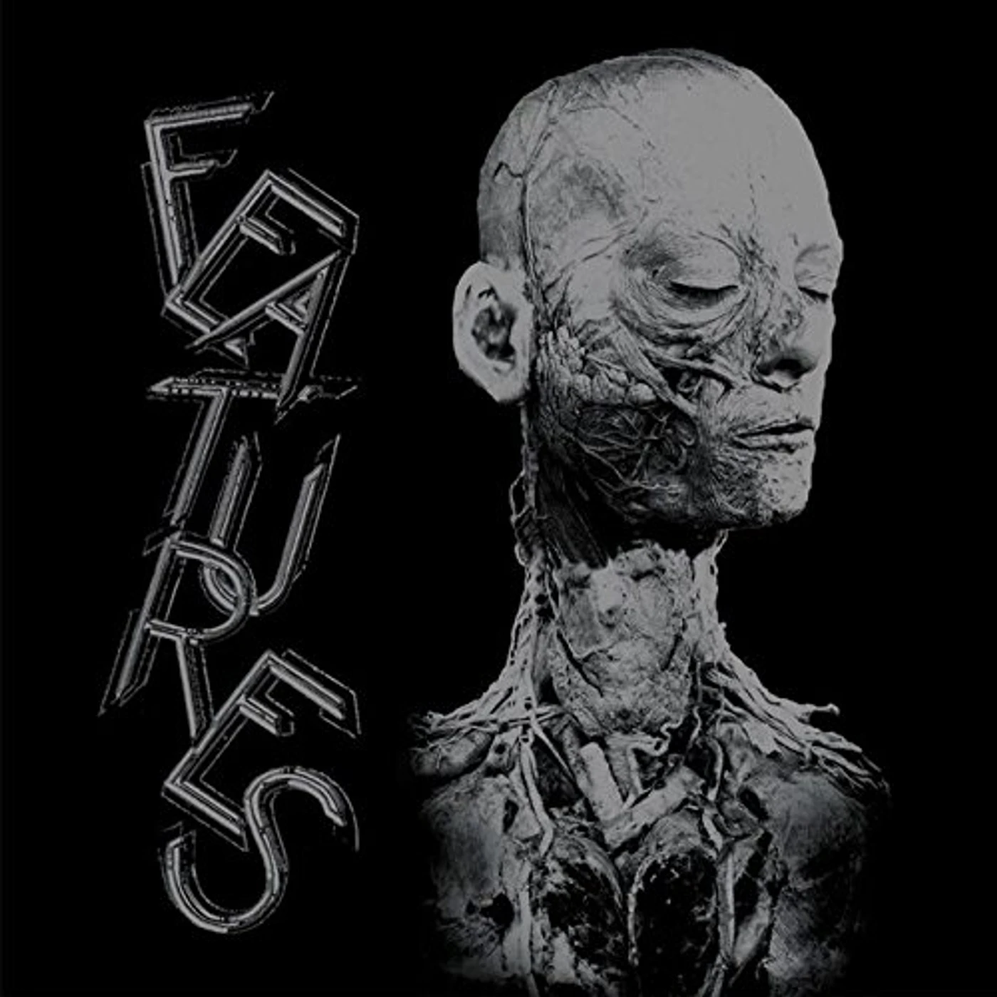 X-The Features Vinyl Record