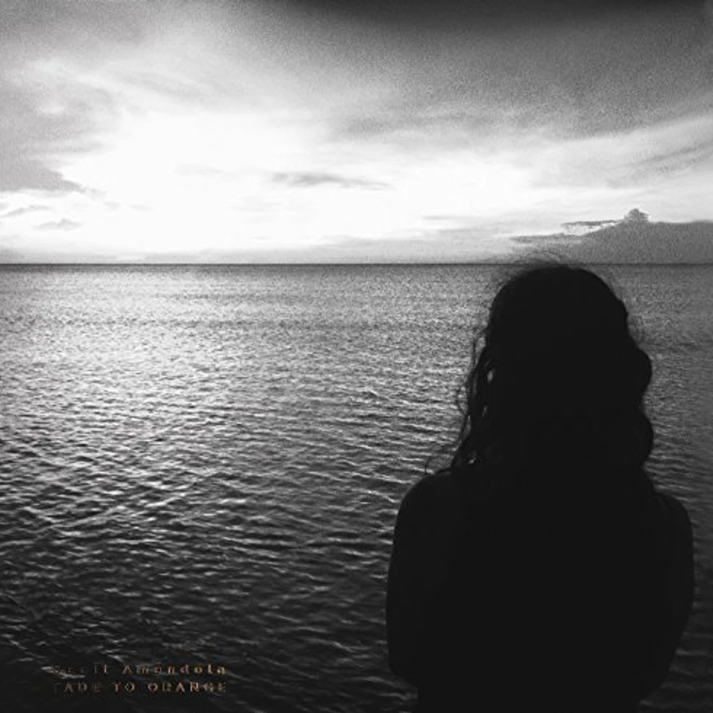 Scott Amendola FADE TO ORANGE CD