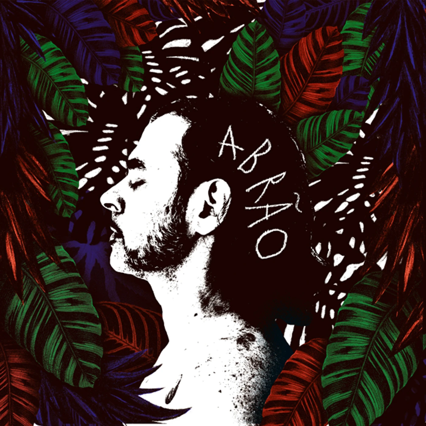 Abrão Vinyl Record