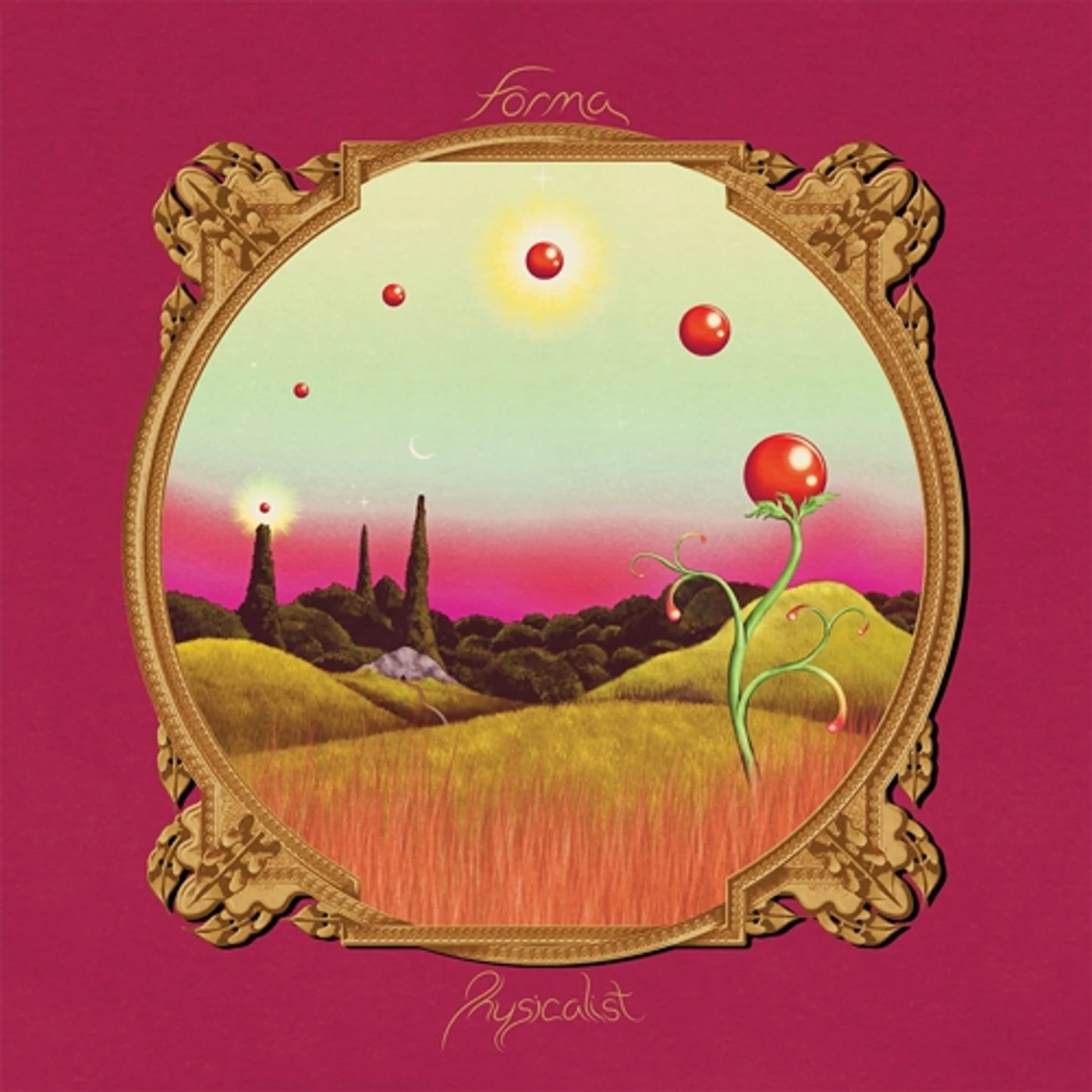 Forma Physicalist Vinyl Record
