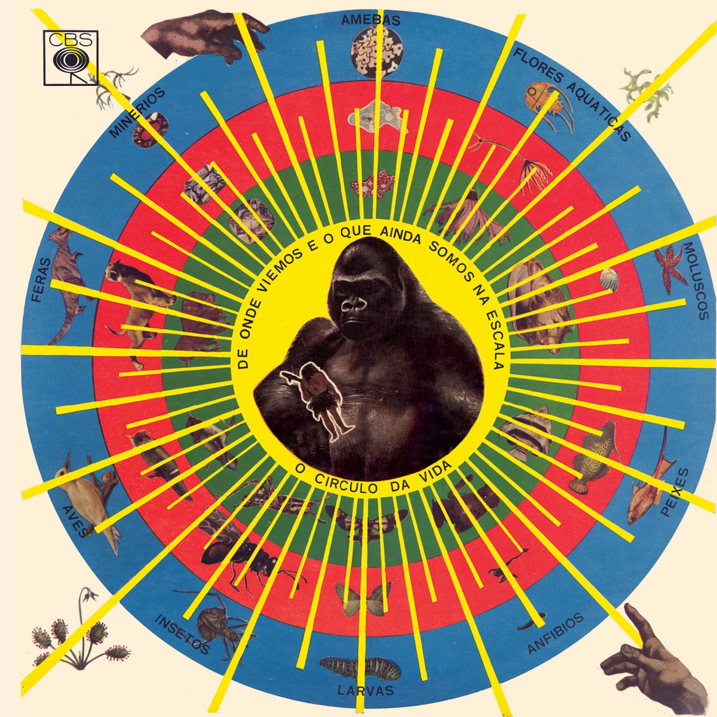 Pedro Santos Krishnanda Vinyl Record