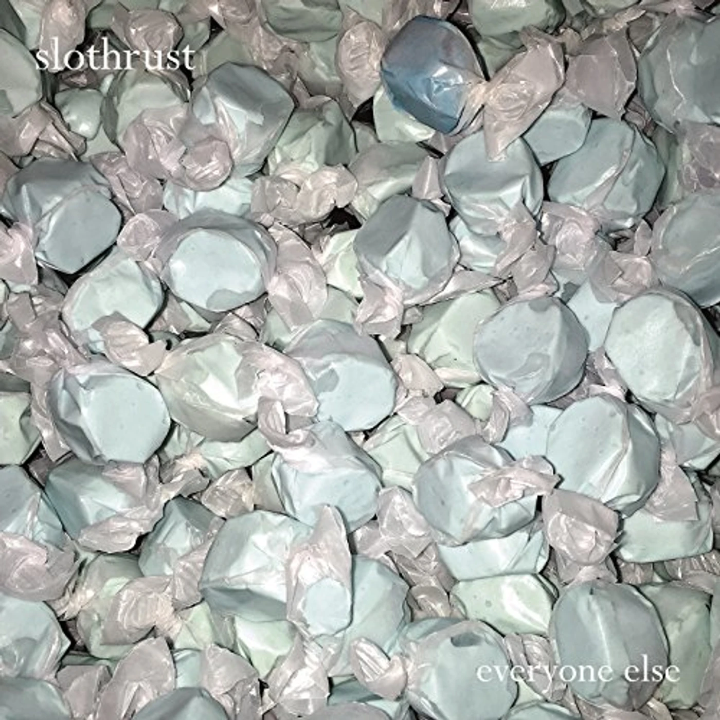 Slothrust Everyone Else Vinyl Record