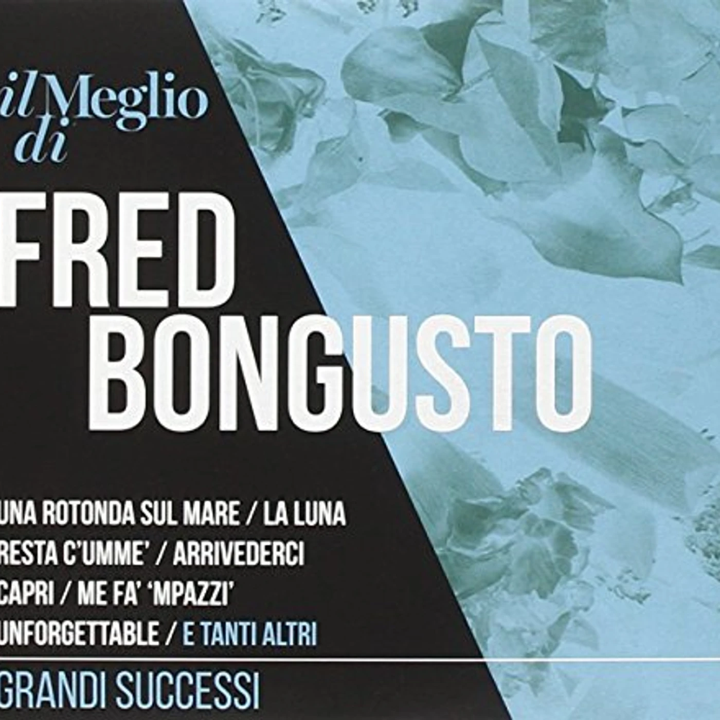 IL MEGLIO DI FRED BONGUSTO: GRANDI SUCCESSI CD
