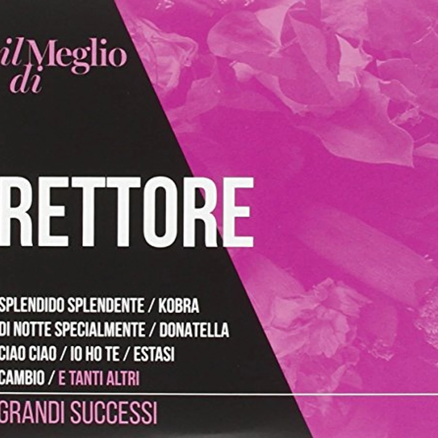 Donatella Rettore IL MEGLIO DI RETTORE: GRANDI SUCCESSI CD