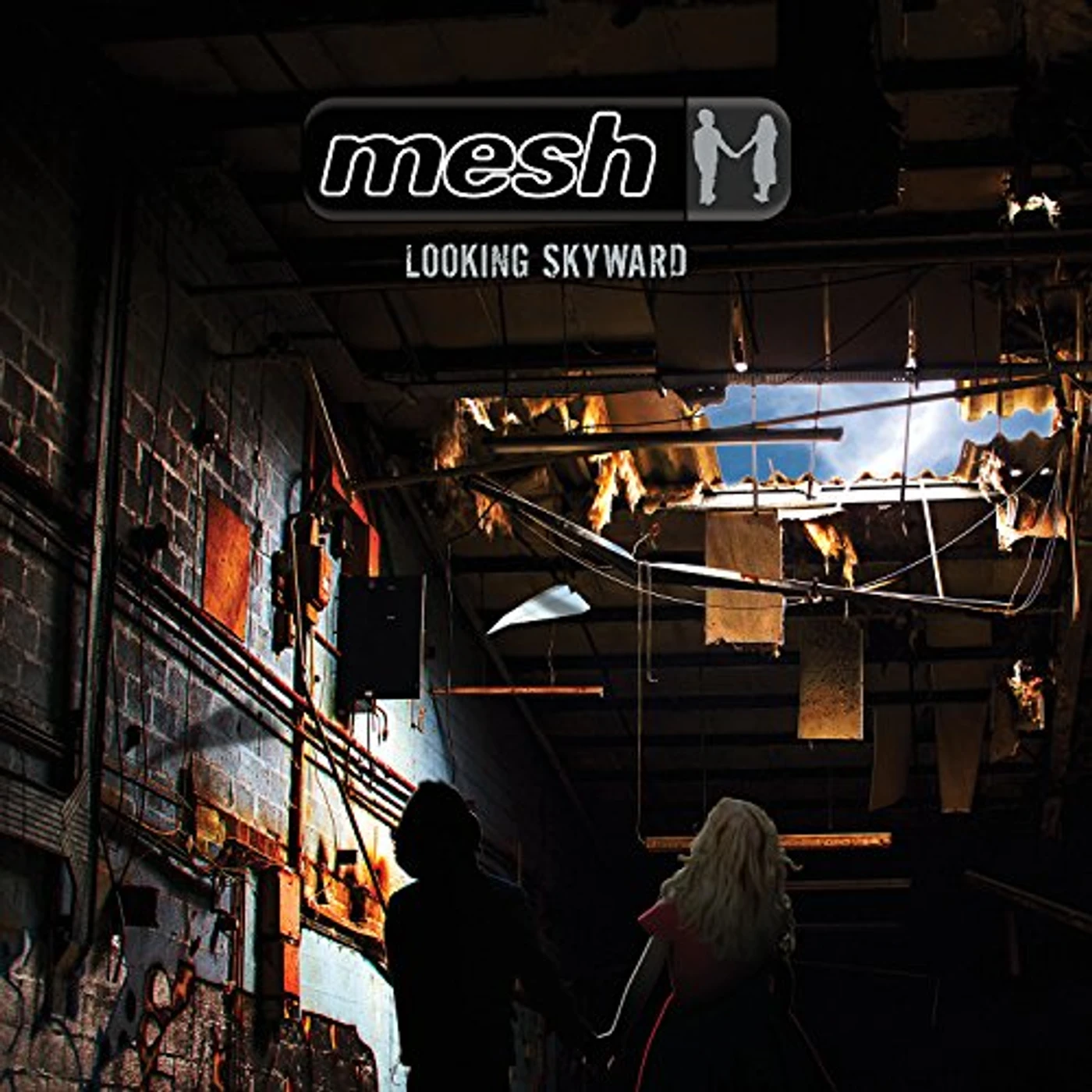Mesh LOOKING SKYWARD CD