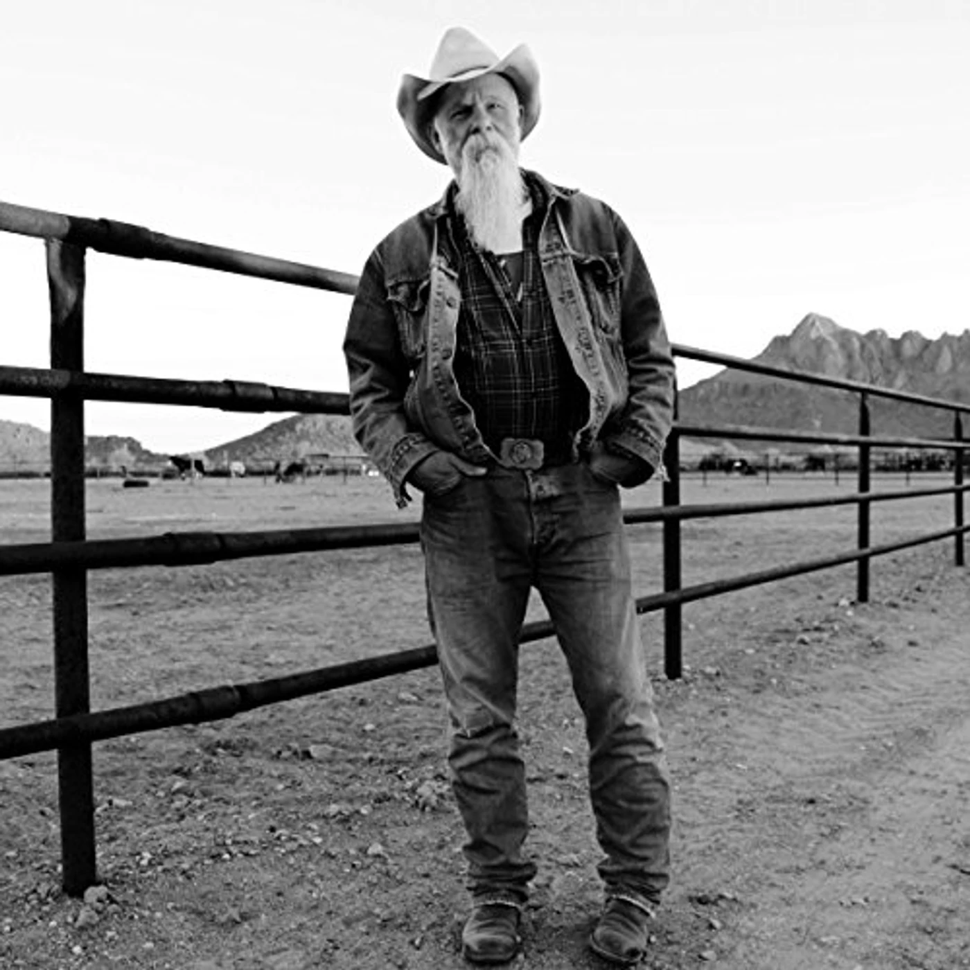 Seasick Steve KEEPIN THE HORSE BETWEEN ME & THE GROUND Vinyl Record