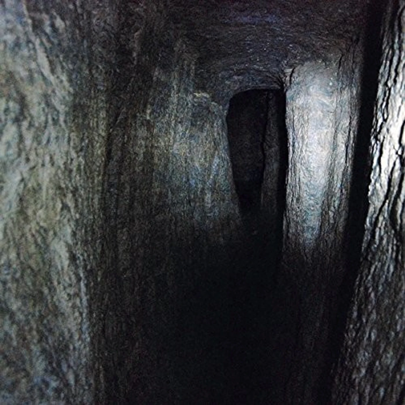 Jonathan Uliel Saldanha Tunnel Vision Vinyl Record