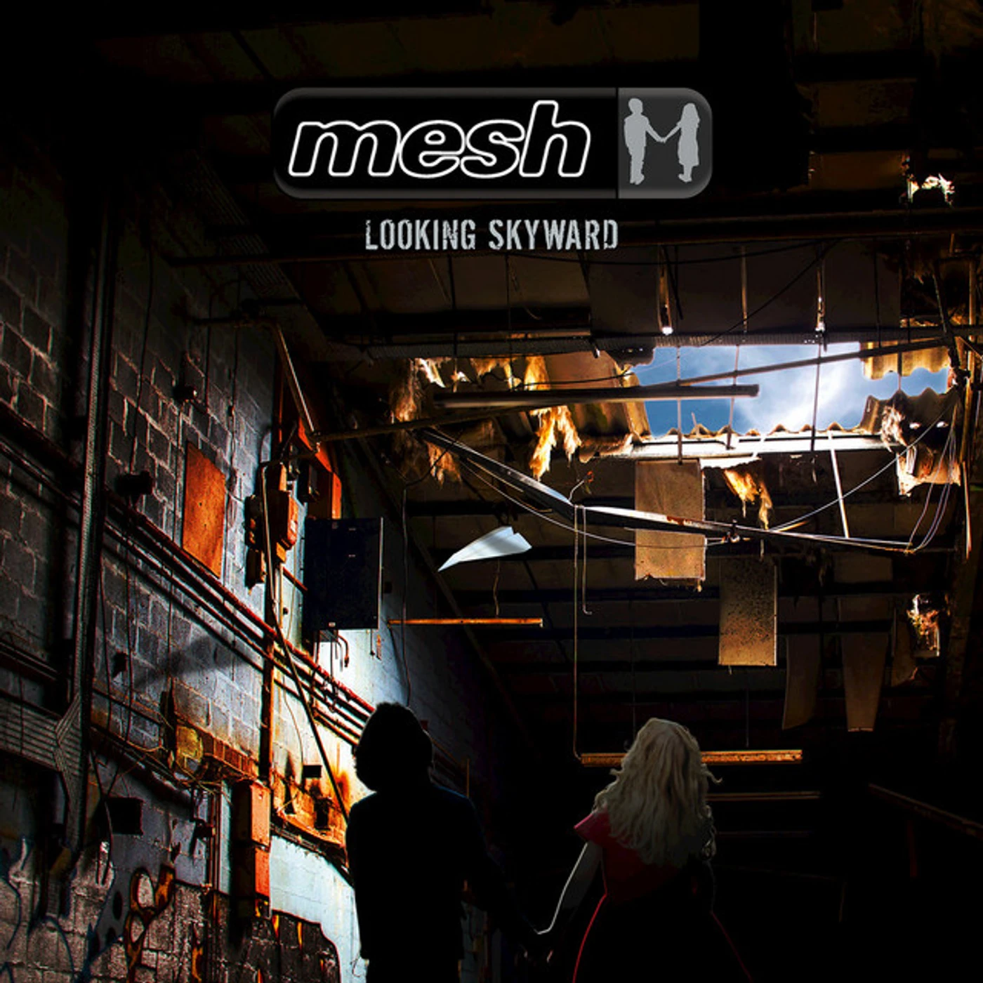 Mesh LOOKING SKYWARD CD