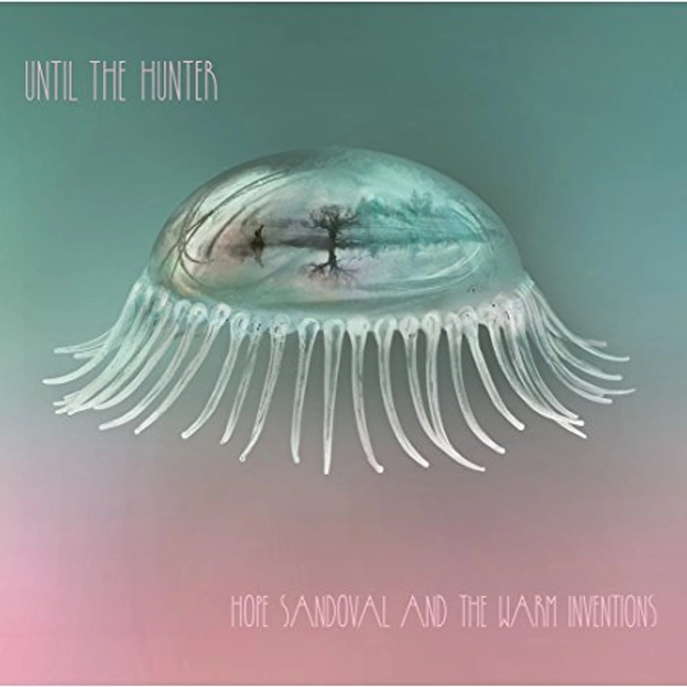 Hope Sandoval & The Warm Inventions Until the Hunter Vinyl Record