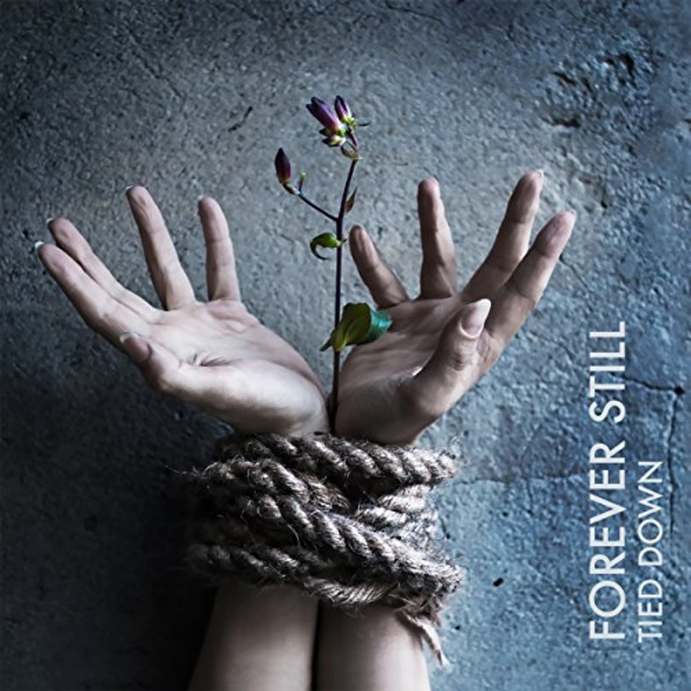 Forever Still TIED DOWN CD