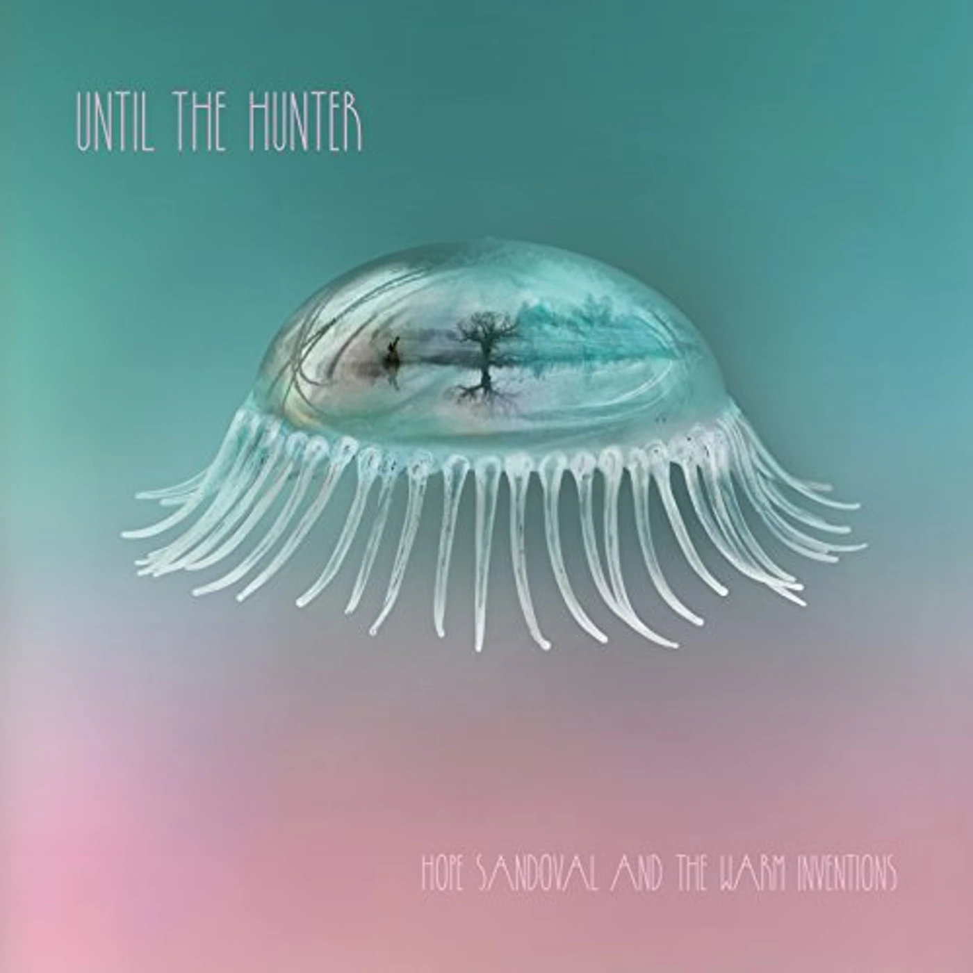 Hope Sandoval & The Warm Inventions UNTIL THE HUNTER CD