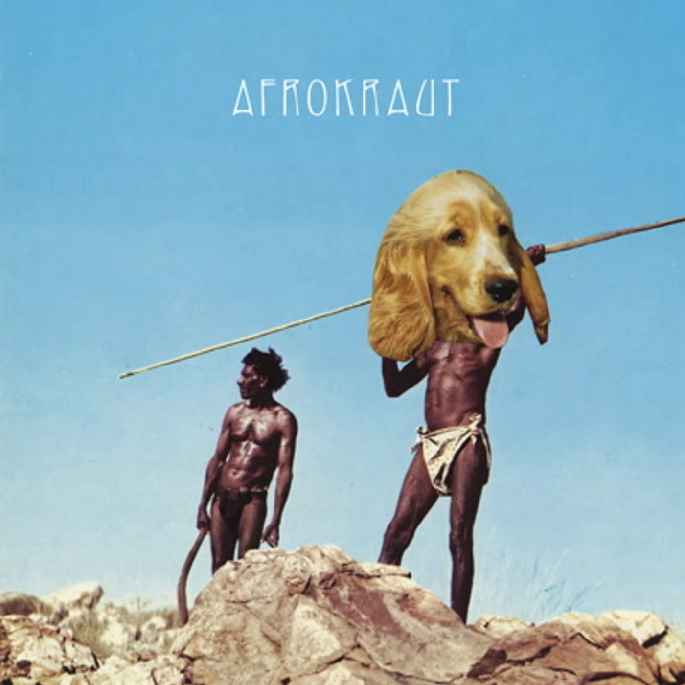 David Nesselhauf Afrokraut Vinyl Record