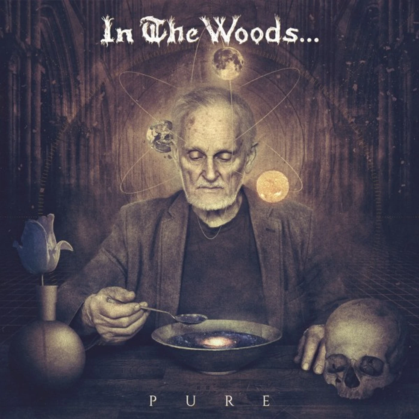 In The Woods... Pure Vinyl Record