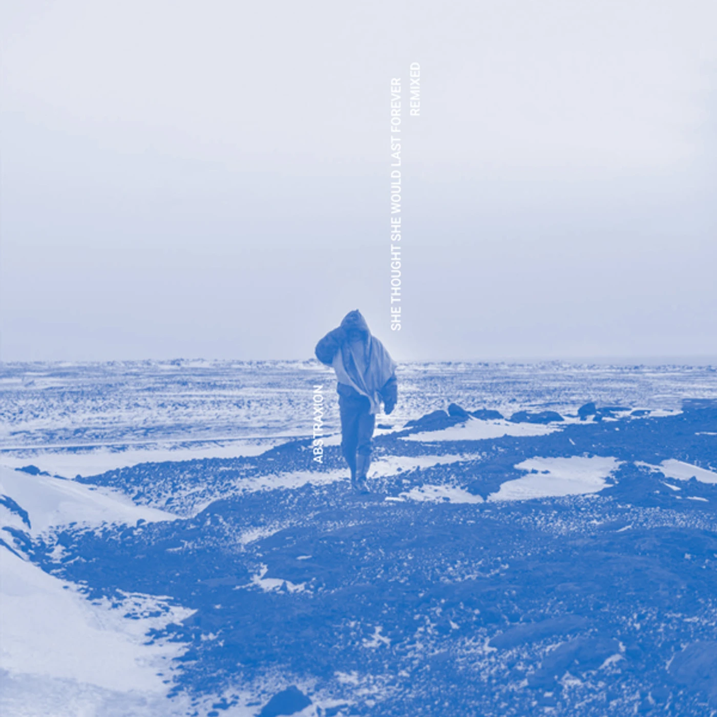 Abstraxion She Thought She Would Last Forever Remixed Vinyl Record
