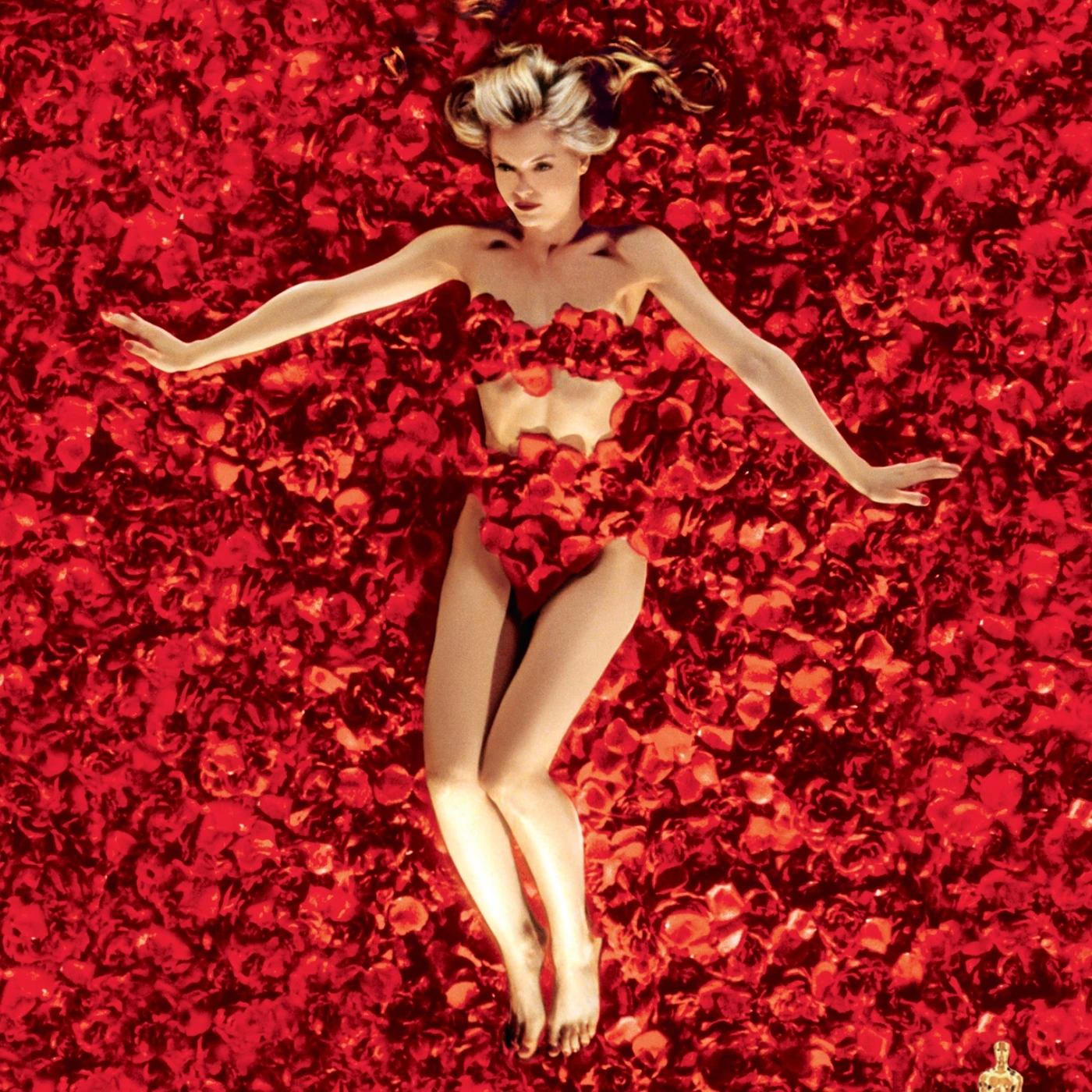 AMERICAN BEAUTY DVD