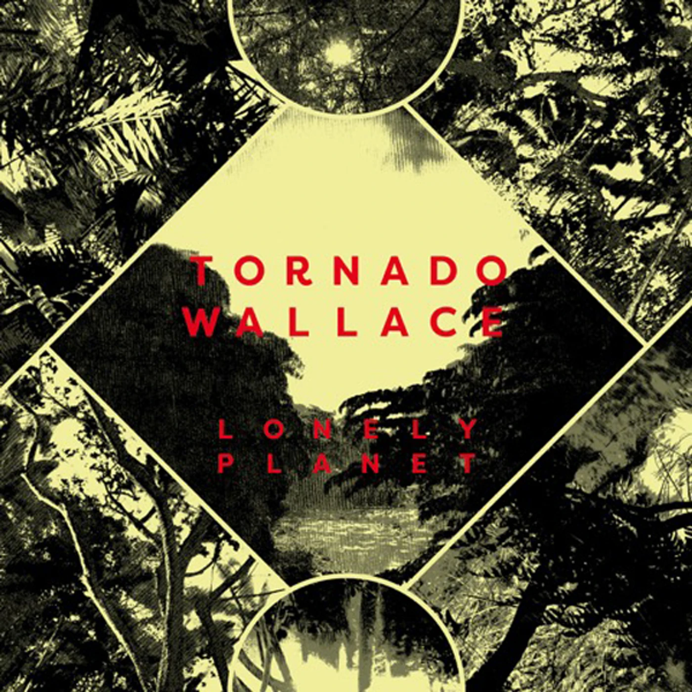 Tornado Wallace Lonely Planet Vinyl Record