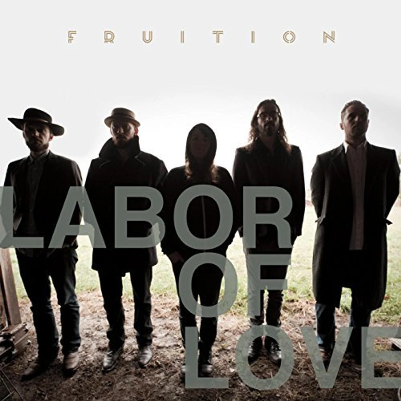 Fruition Labor of Love Vinyl Record