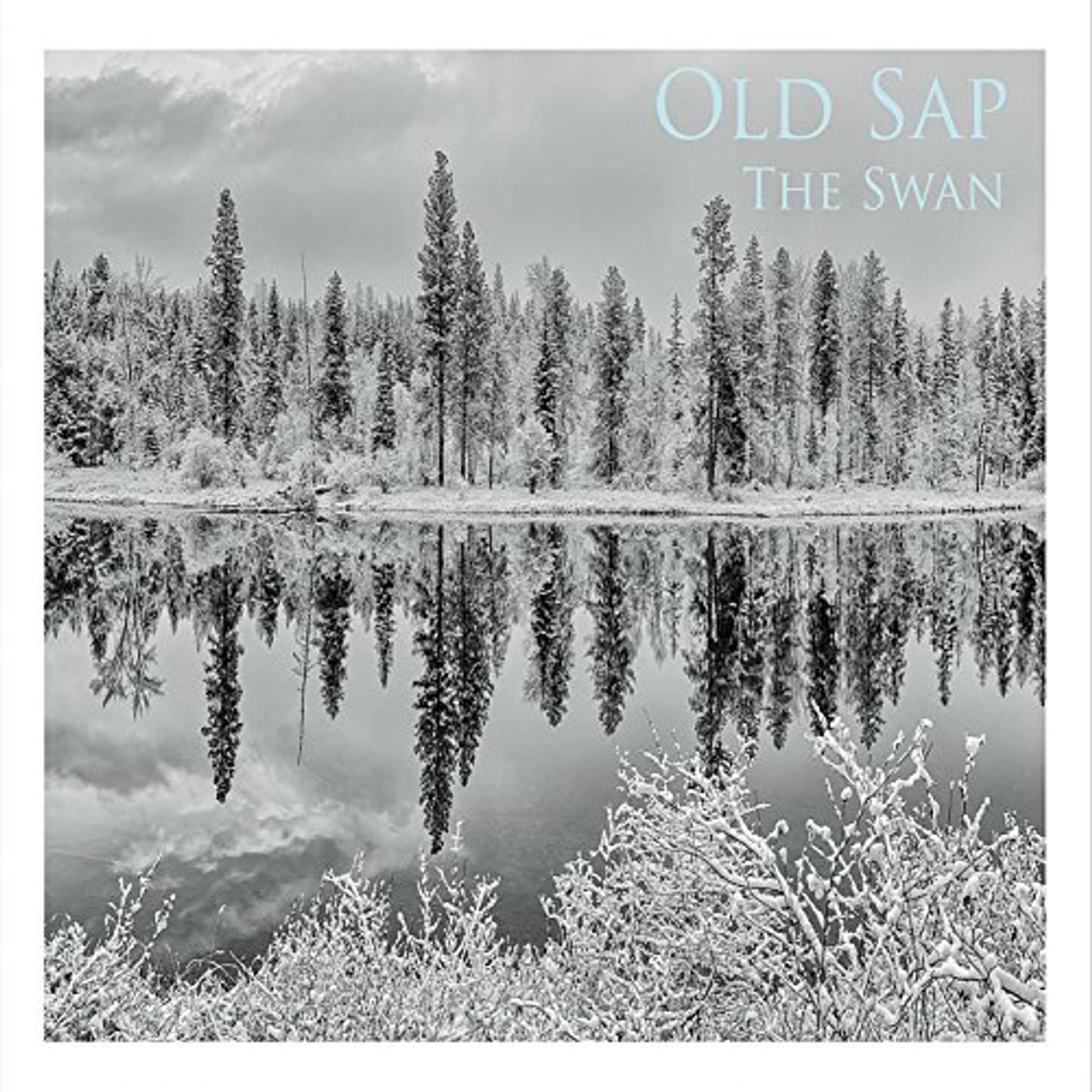 Old Sap SWAN CD