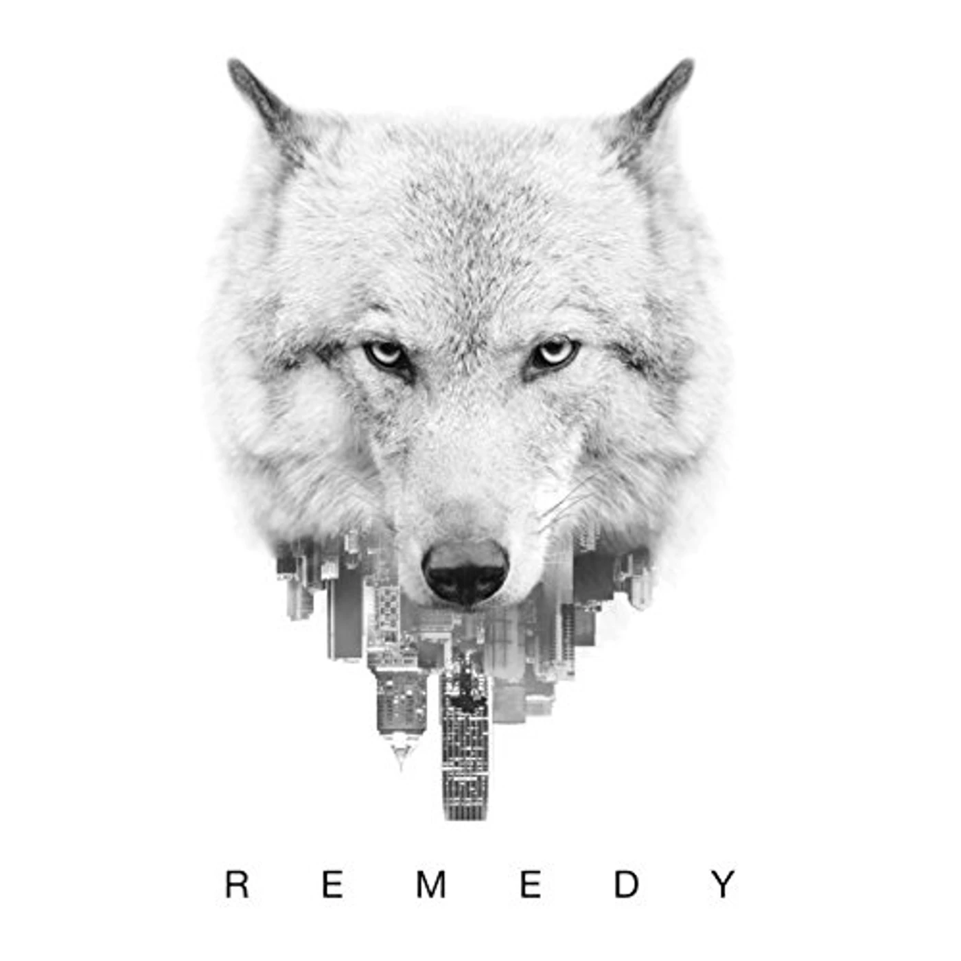 Quincy Davis REMEDY CD