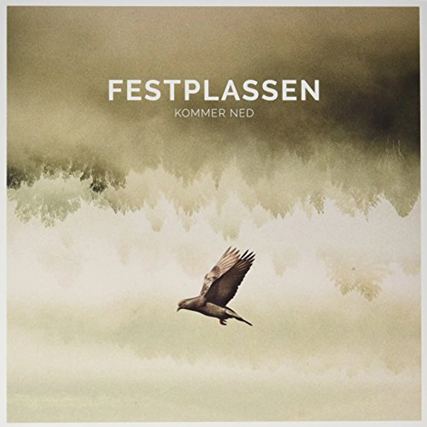 FESTPLASSEN Kommer Ned Vinyl Record