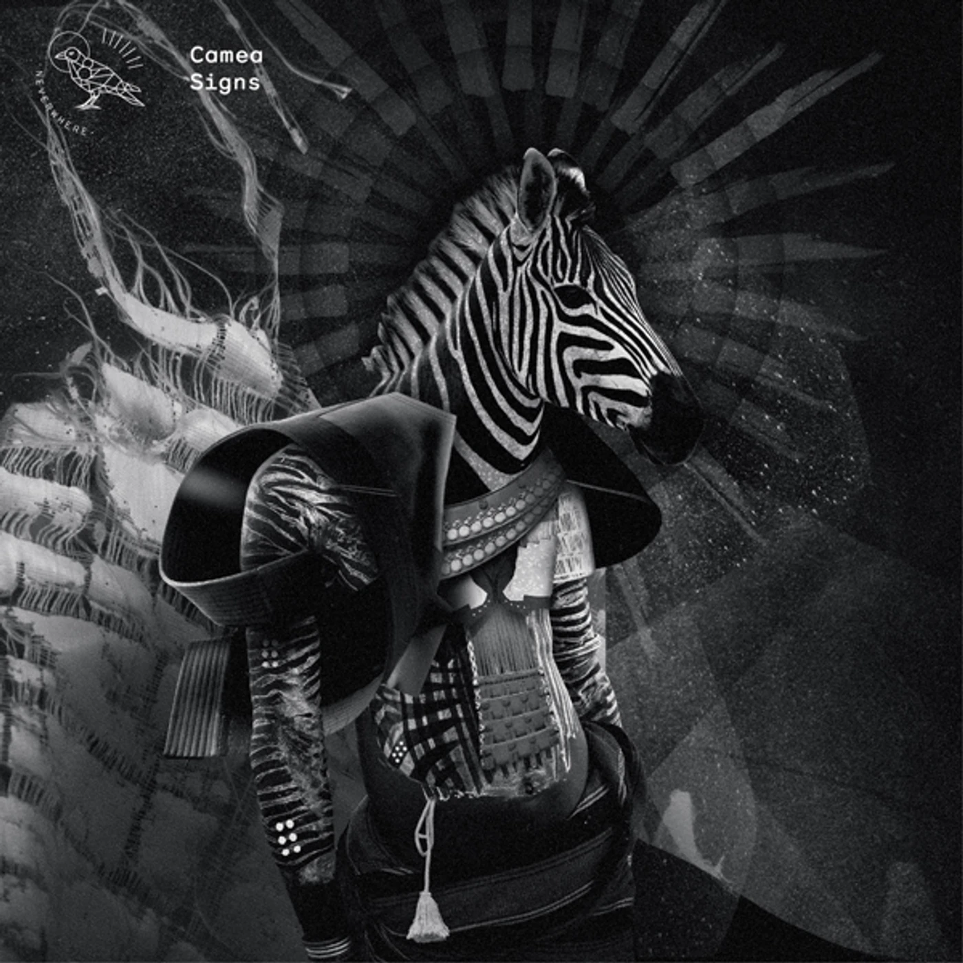 Camea Signs Vinyl Record