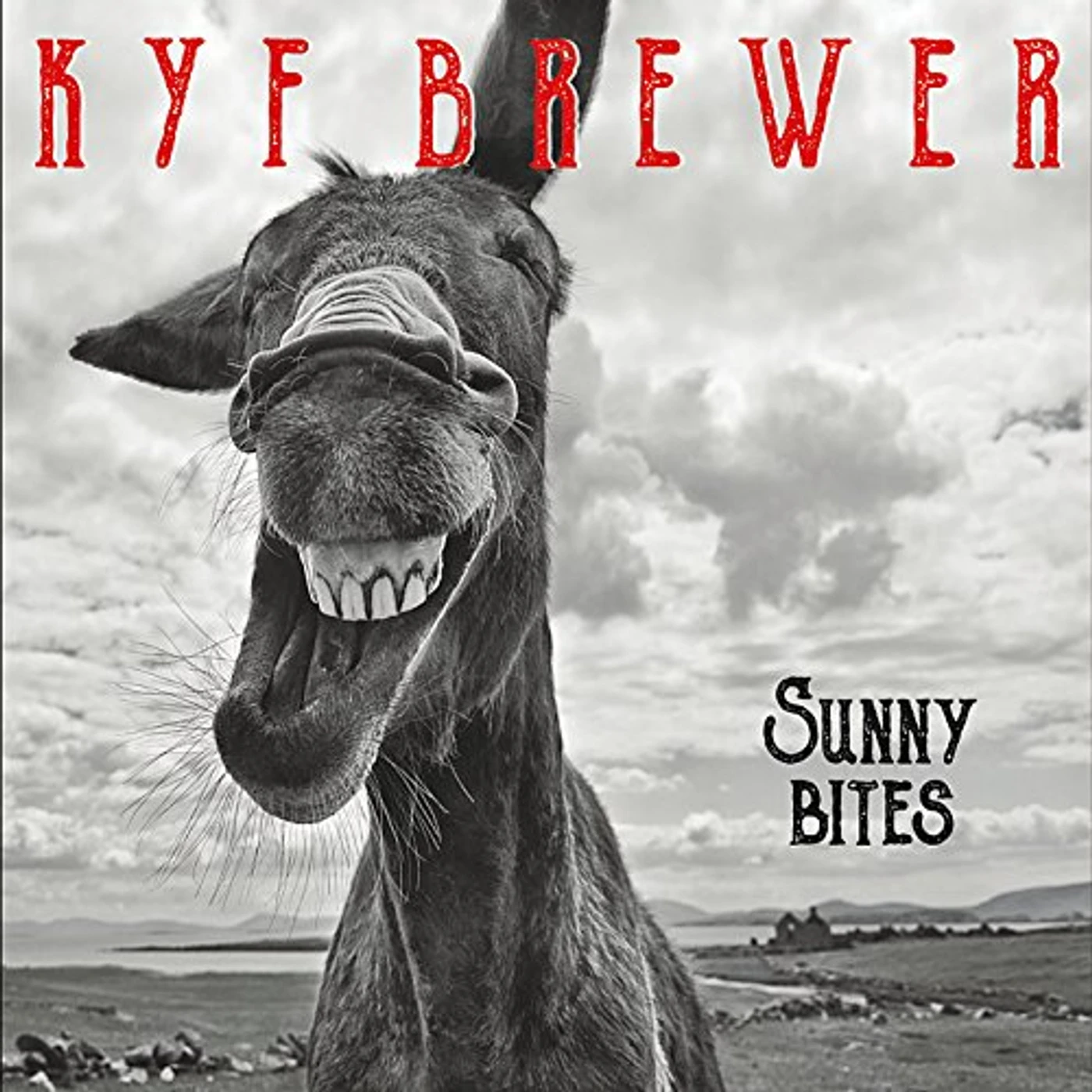 Kyf Brewer SUNNY BITES CD