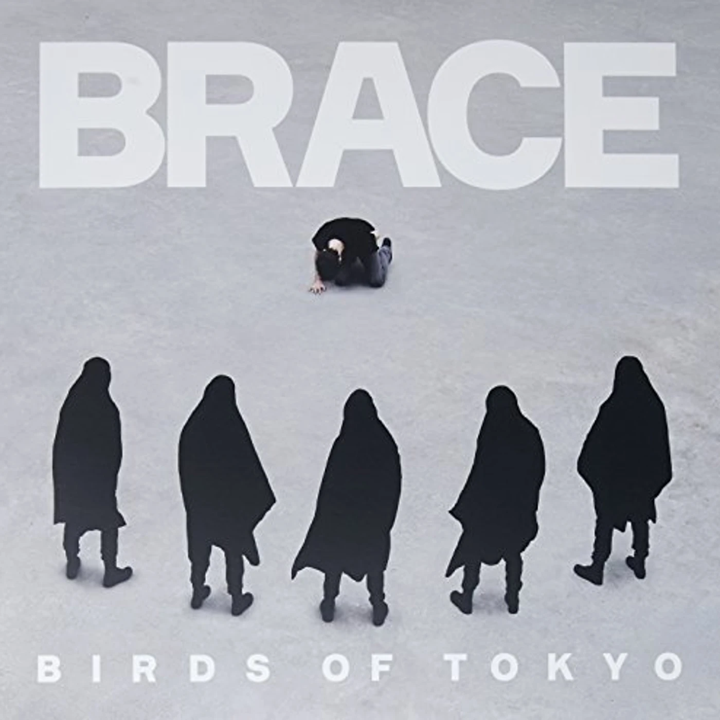Birds Of Tokyo Brace (Colored Vinyl/Limited/Import)