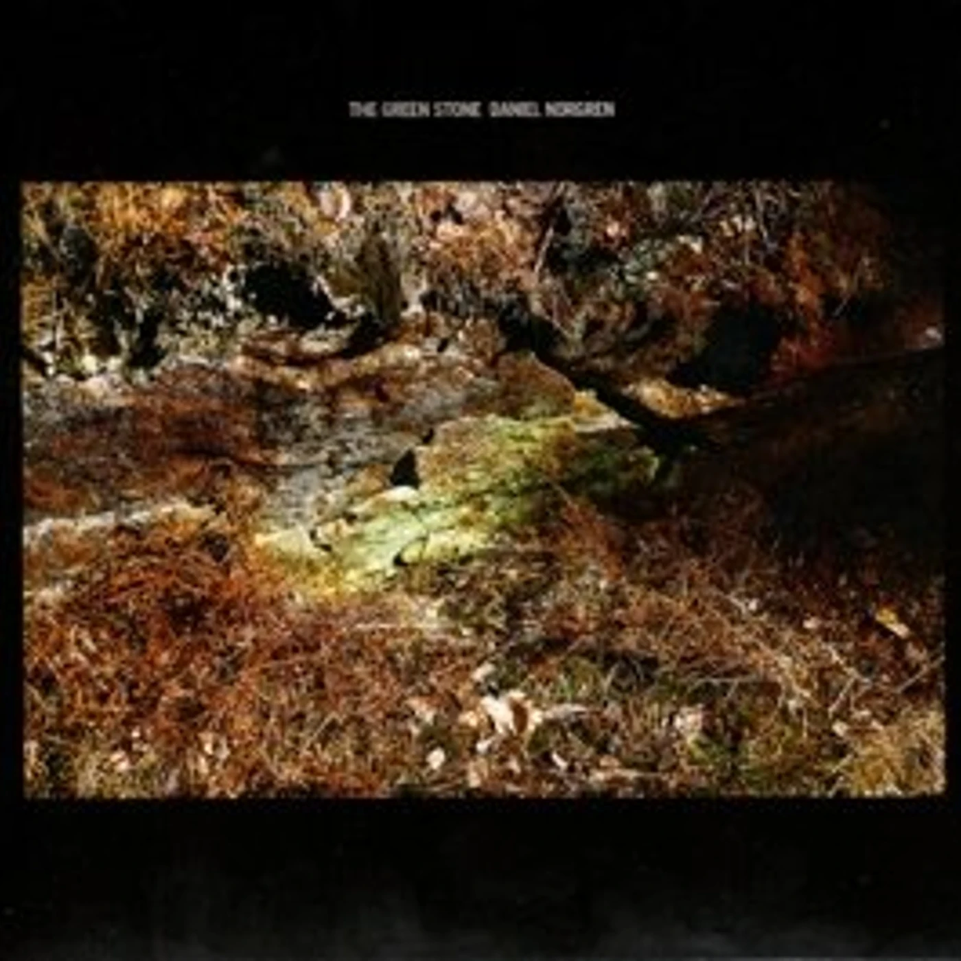 Daniel Norgren GREEN STONE CD