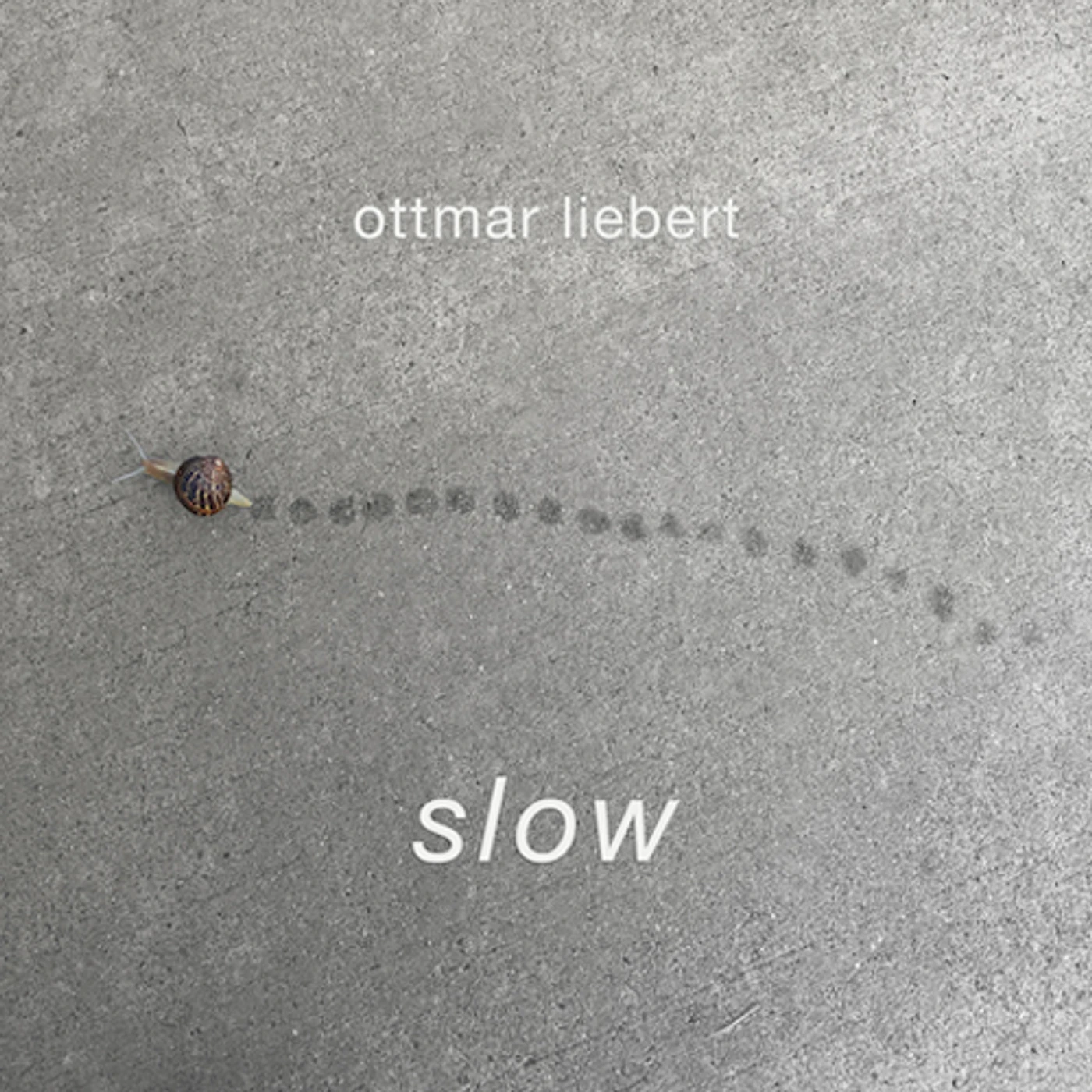 Ottmar Liebert SLOW CD