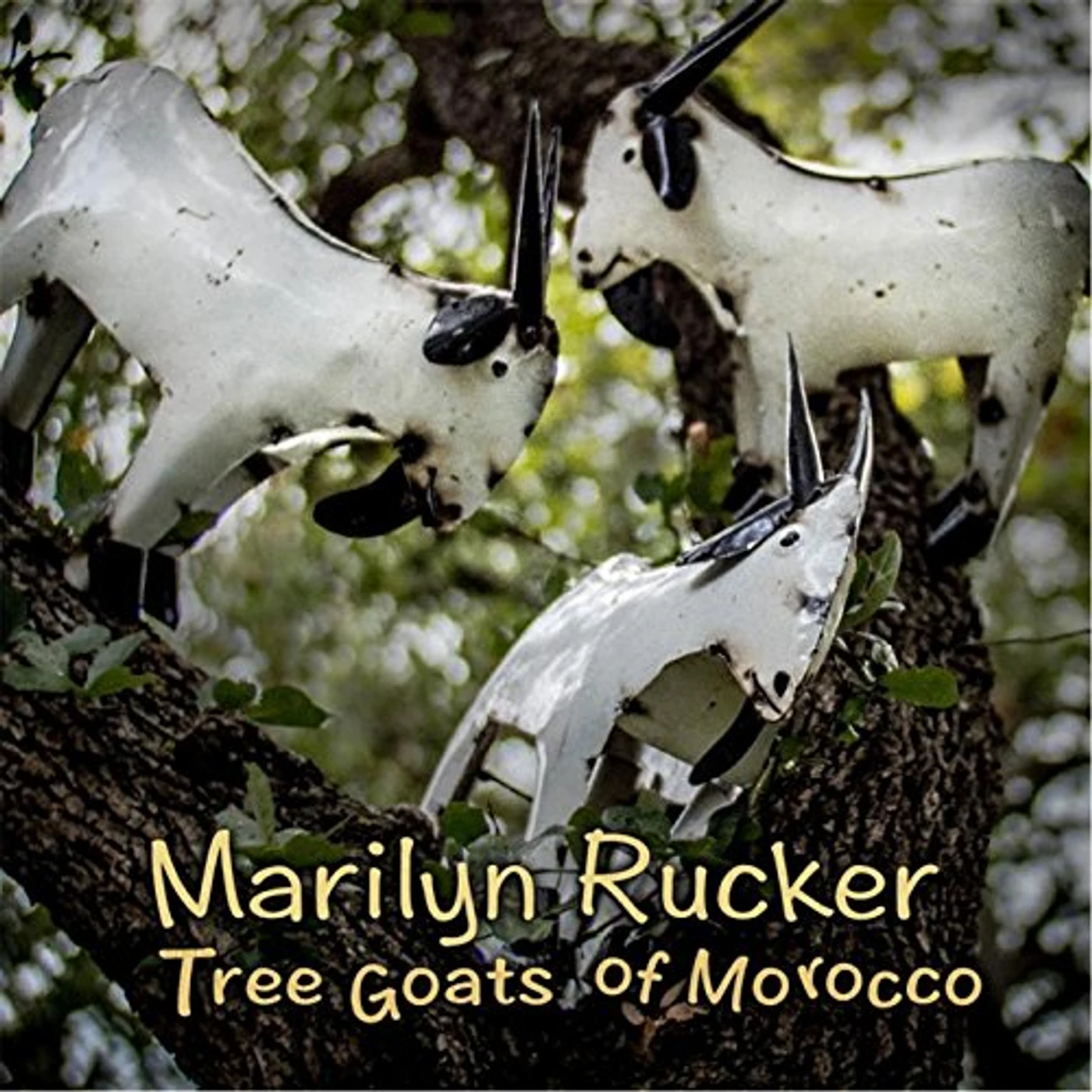 Marilyn Rucker TREE GOATS OF MOROCCO CD