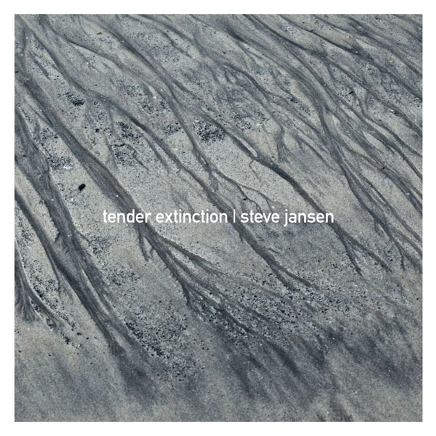Steve Jansen TENDER EXTINCTION CD