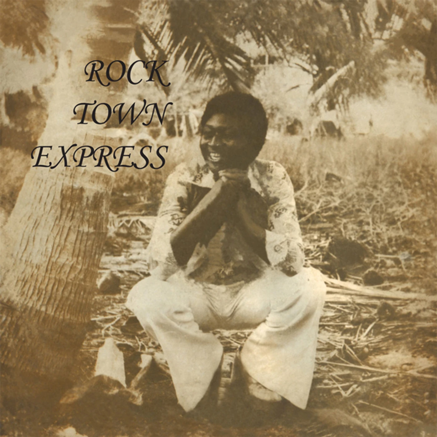 ROCK TOWN EXPRESS CD