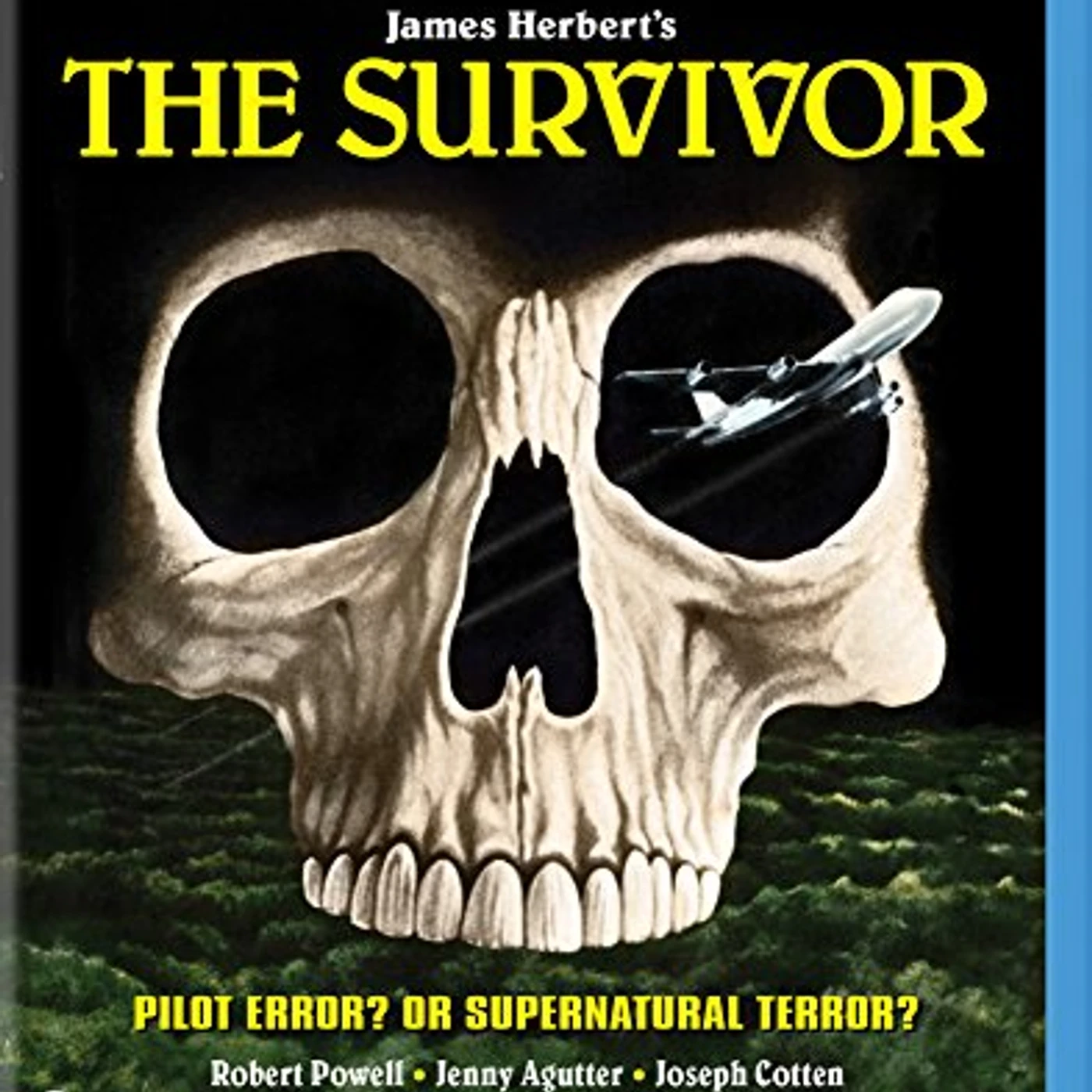 SURVIVOR Blu-ray