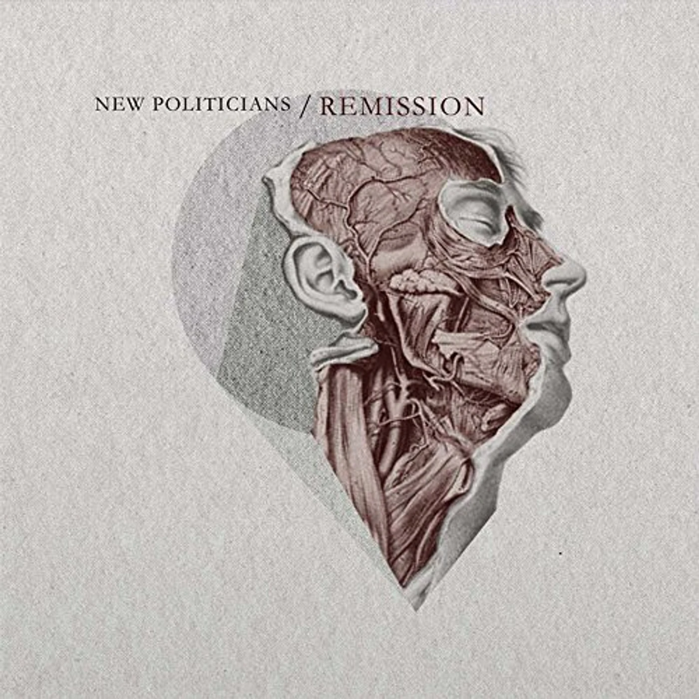 New Politicians REMISSION CD