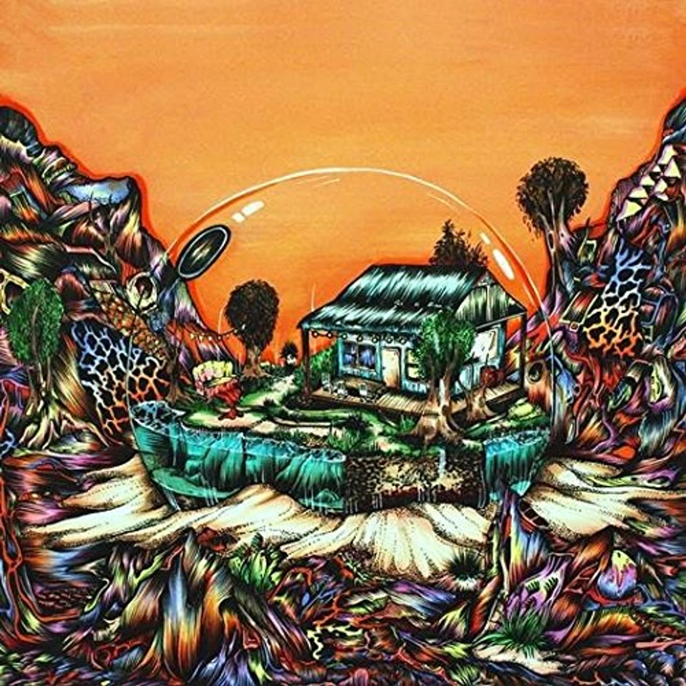 Koi Child Vinyl Record