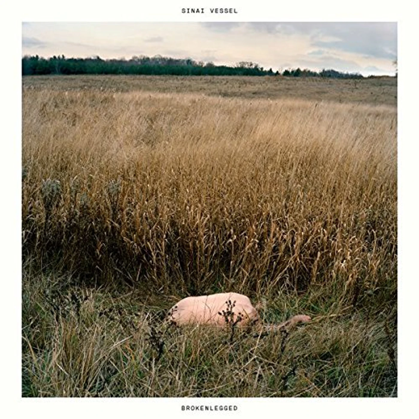 Sinai Vessel BROKENLEGGED CD