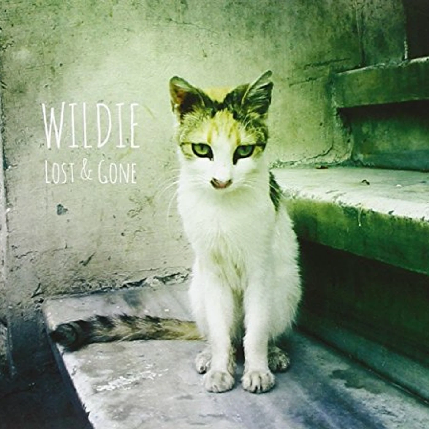 WILDIE CD
