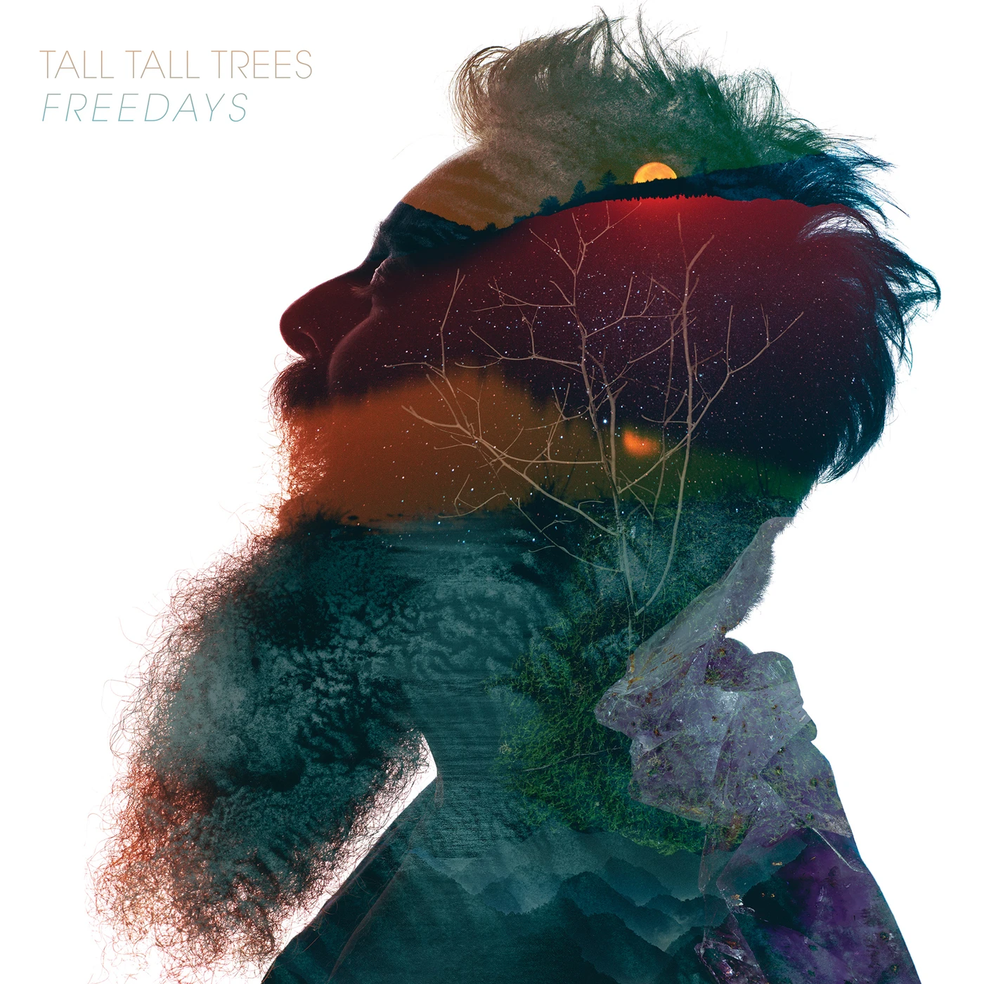 Tall Tall Trees Freedays Vinyl Record