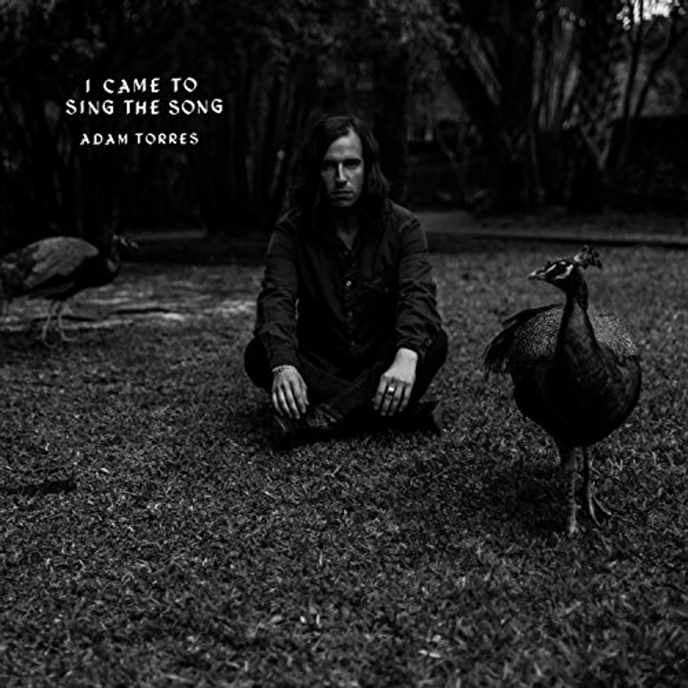 Adam Torres I Came to Sing the Song Vinyl Record