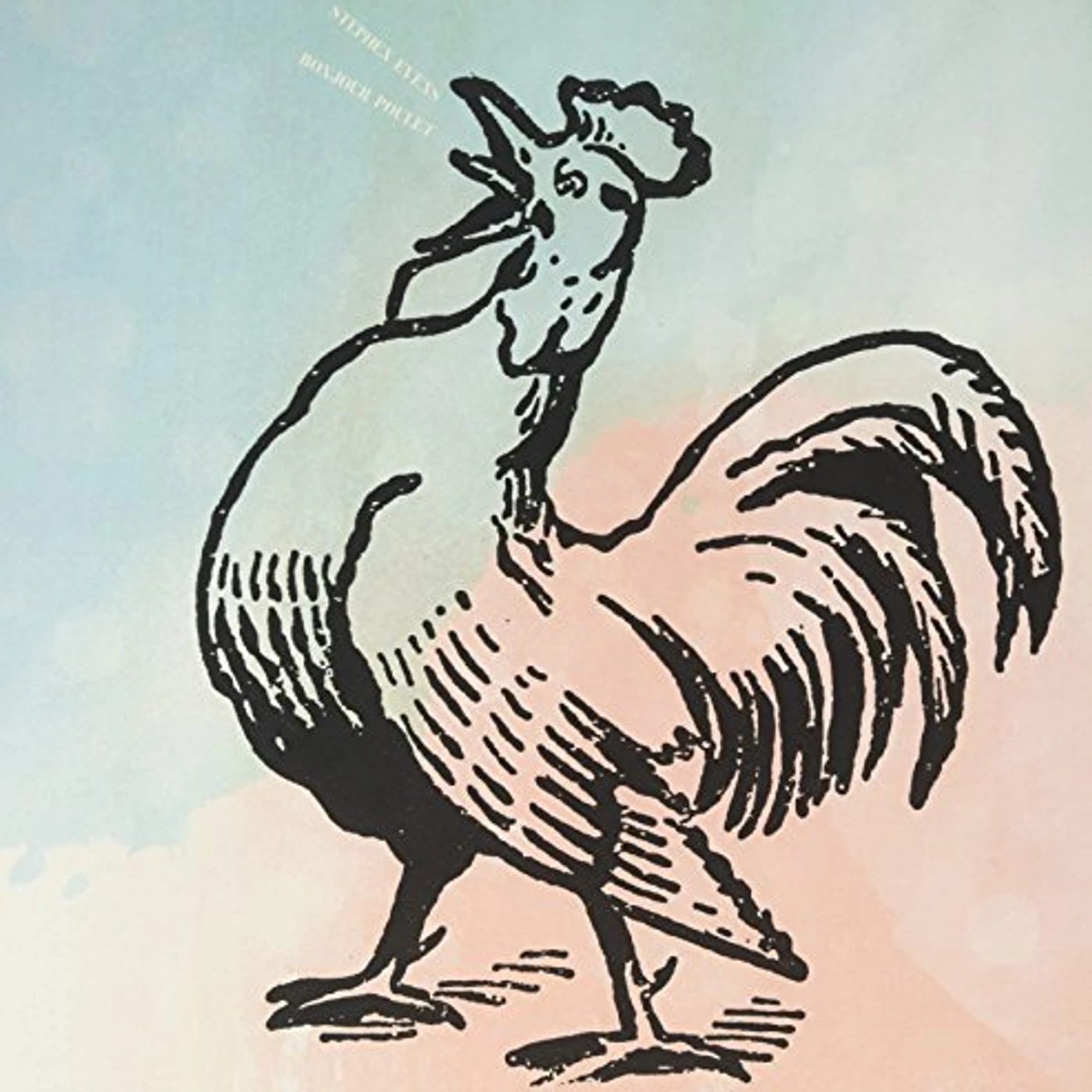 Stephen EvEns Bonjour Poulet Vinyl Record