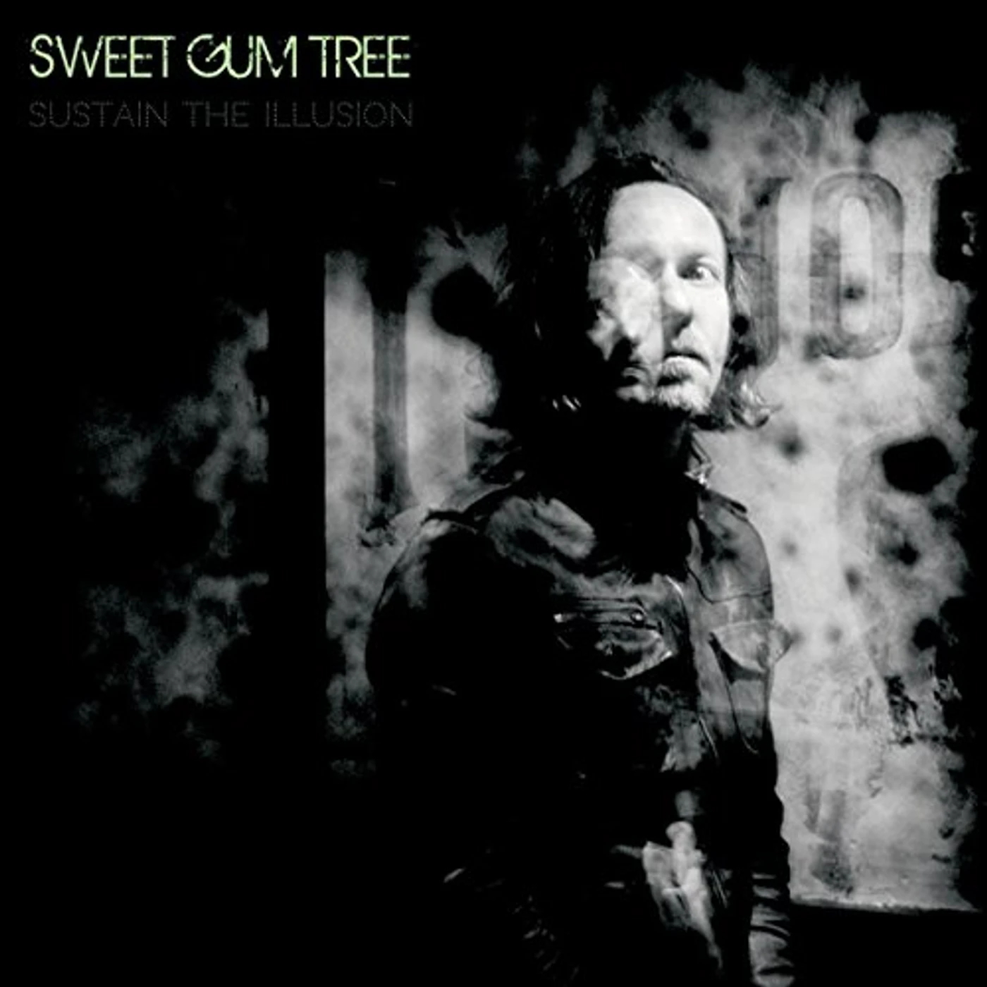 Sweet Gum Tree SUSTAIN THE ILLUSION Vinyl Record