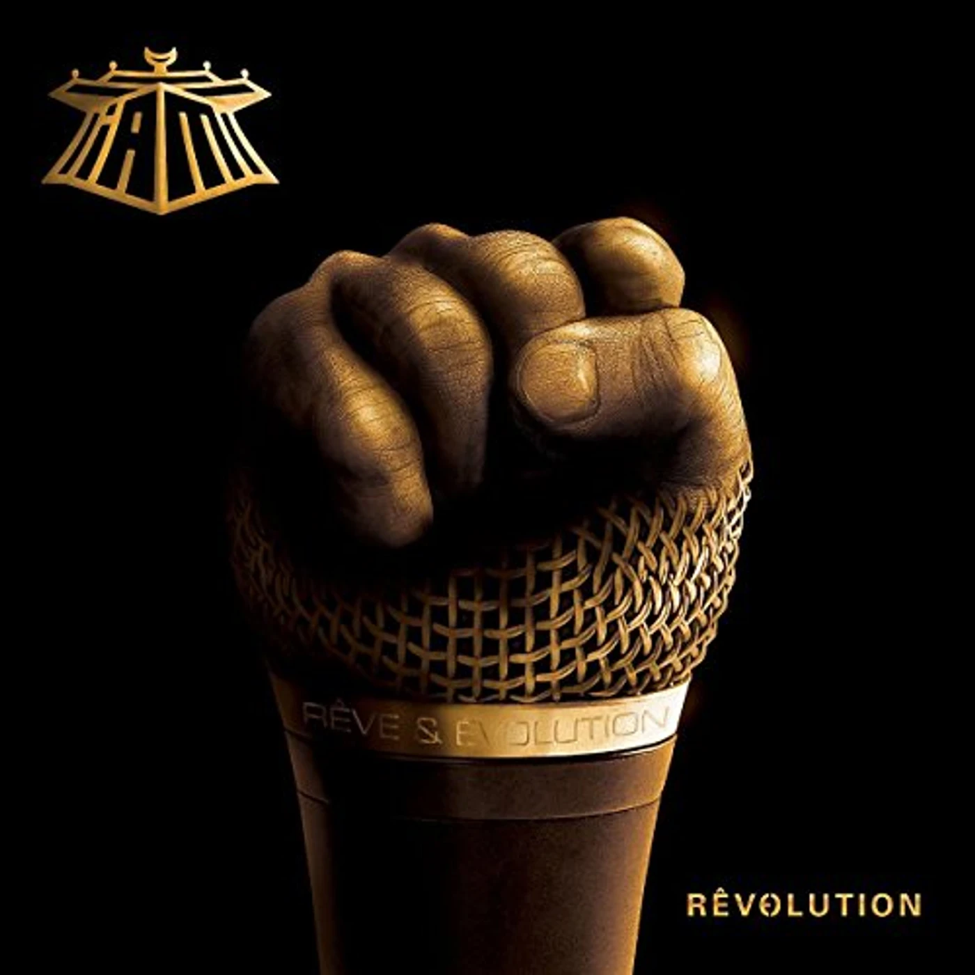 IAM REVOLUTION Vinyl Record